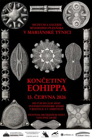 Končetiny Etiopia