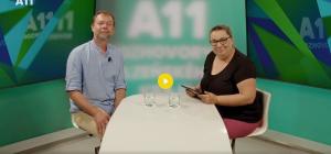 A11